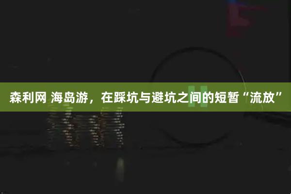 森利网 海岛游，在踩坑与避坑之间的短暂“流放”